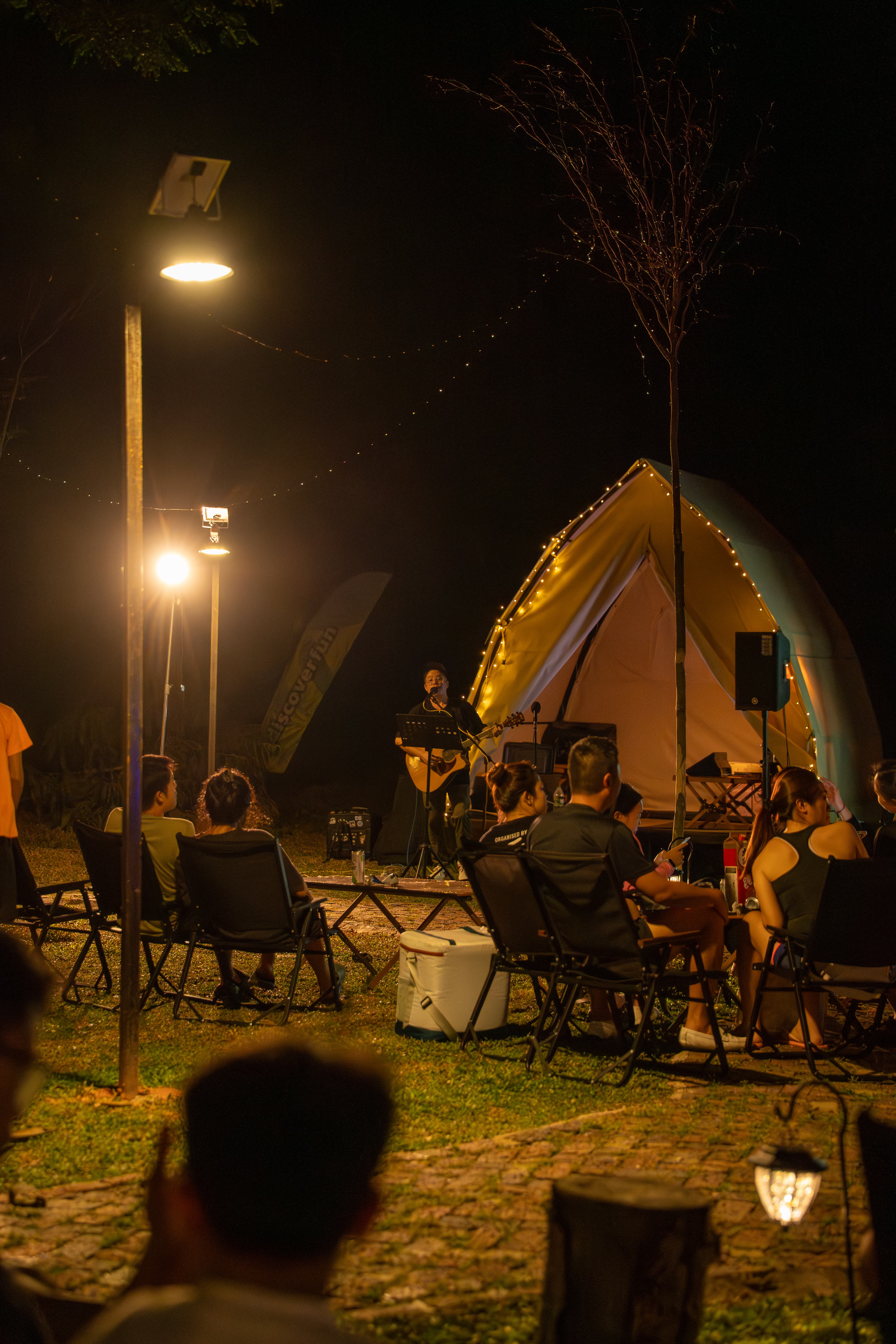 Baboon obstacle course